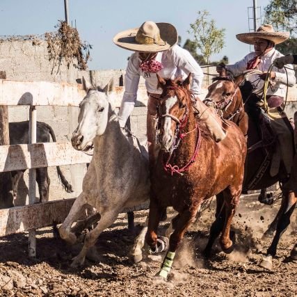 Somos apasionados de la charrería 🇲🇽 🐴🐂🐮 y su cultura