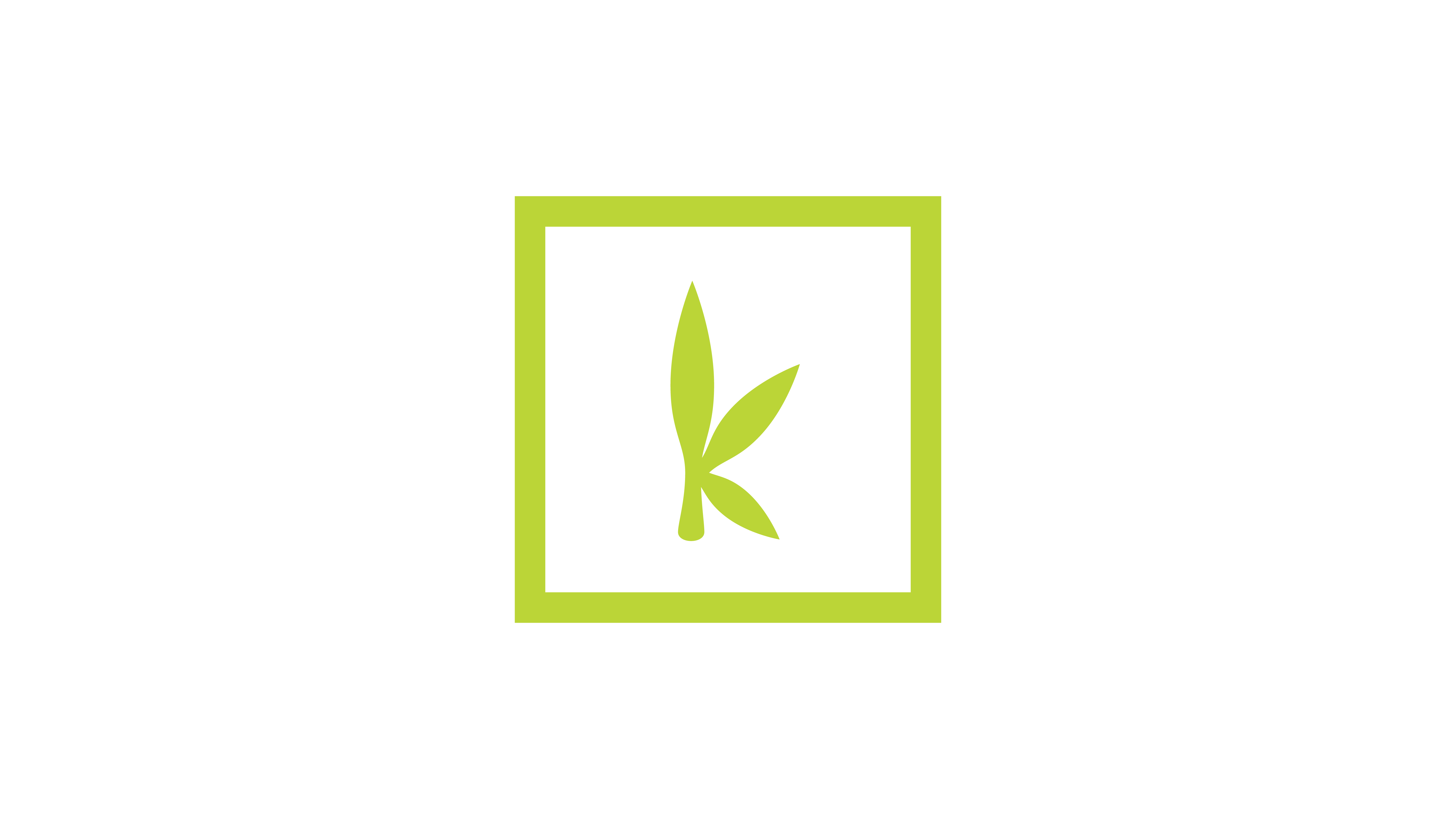 Educating and connecting the consumer to the brand using a custom subscription cannabis box. Enabling them to try and find what fits their individual needs