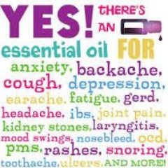 YoursOils's profile picture. My name is Dawn Workman. I am into educating others on the power of essential oils. My website is: https://t.co/VKzNDWdRBo  Member I.D. 5003535
