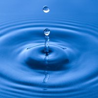 freshwaterflows (@freshwaterflows) 's Twitter Profile Photo freshwaterflows (@freshwaterflows) 's Twitter Profile Photo