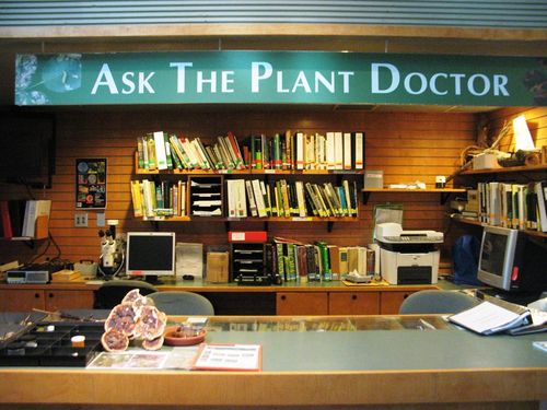 Up-to-date information on current plant problems being answered by our Plant Doctors.