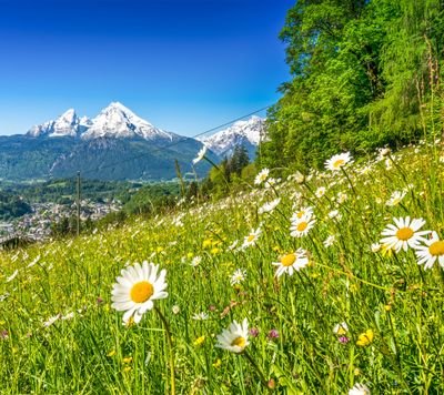 fRow8yJF2LljcU4's profile picture. 