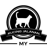 Kucing Jalanan MY 🐈(@kucingjalananMY) 's Twitter Profileg