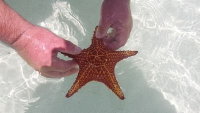 LisaFitzsimmons's profile picture. 