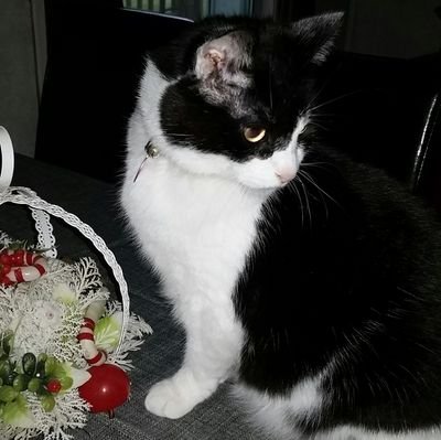 jerryv45133's profile picture. from Hamilton ohio, live in Hillsboro, Ohio. Worked at candle lite. Worked at DHL and The fraternal order of Eagles as there Sec. for 15 years