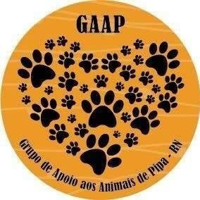 GAAPpipa2017's profile picture. O Grupo de Apoio aos Animais de Pipa (GAAP) é uma organização, sem fins lucrativos que visa estimular os bons tratos ao animais da Praia de Pipa.