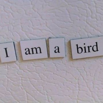 FridgePoetryApp's profile picture. make your own #fridgepoem@ https://t.co/8EwIboNpef