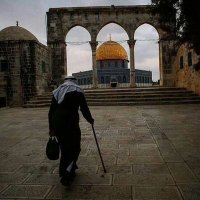 nona salem (@ezayansak) 's Twitter Profile Photo nona salem (@ezayansak) 's Twitter Profile Photo
