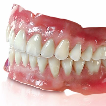 The official teeth of the 45th President of the United States of America. Providing the truth since he talks out of his ass!
