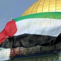 Dr.samar salah (@samora2020) 's Twitter Profile
