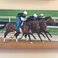 Fair Hill Equine Therapy Center (@fairhilletc) 's Twitter Profile