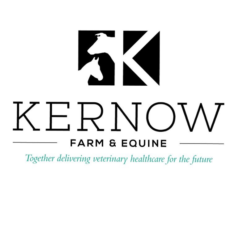 Providing a dedicated, local, professional veterinary service for farm and equine clients in mid Cornwall. To talk to one of the team call us on 01208-76403.