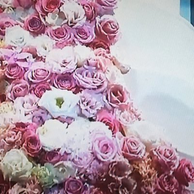 Reicaccha's profile picture. 大阪が好きなんです