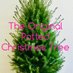 pottedchristmastrees (@pottedxmastree) Twitter profile photo pottedchristmastrees (@pottedxmastree) Twitter profile photo