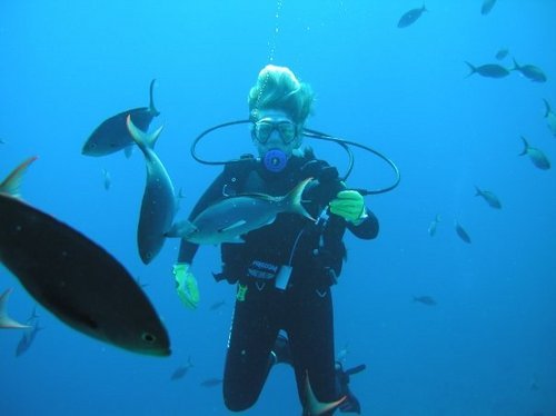 tinapomaha's profile picture. 