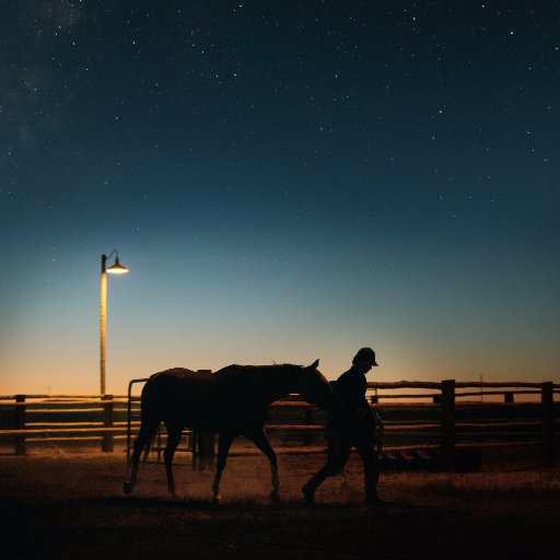 @A24 presents LEAN ON PETE, from writer/director Andrew Haigh. Starring Steve Buscemi, Chloë Sevigny, and Charlie Plummer. Now Playing NY/LA!