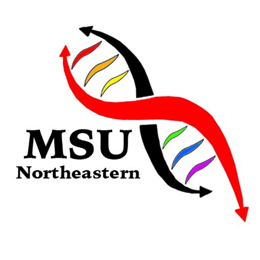 A group at Northeastern for biracial, multiracial, multi-ethnic, and multicultural students!