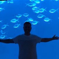 Mike Cushman (@mikecushman4) 's Twitter Profile