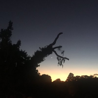 bee_klose's profile image