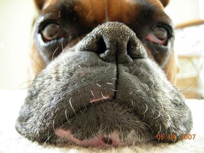 EdNBC13HD's profile picture. 