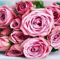 Eve07999 (@eve07999) 's Twitter Profile