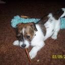 deb bennett - @deebee1408 - Twitter