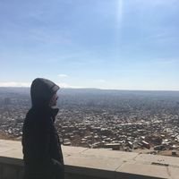 Mehrdad67495518's profile picture. 