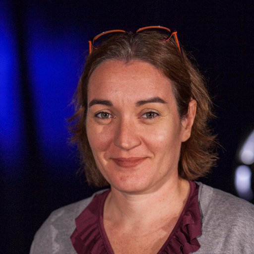 Responsable formation continue et VAE du Spectacle Vivant et de l'Audiovisuel