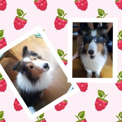 Winkyさんのプロフィール画像