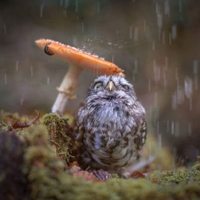 frkn341905's profile picture. İMÜ-Tıp