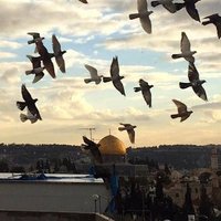 #Indonesia🇲🇨 (@1pandeka) 's Twitter Profile Photo