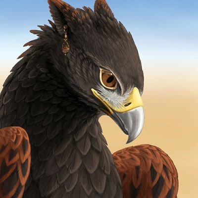 Cissaさんのプロフィール画像