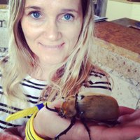 Susi Schaefer (@susischaeferart) 's Twitter Profile