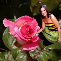 Amy Bee (@bumbles81) 's Twitter Profile