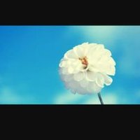 💗aylin (@mdwrwdlg6mm23ww) Twitter profile photo