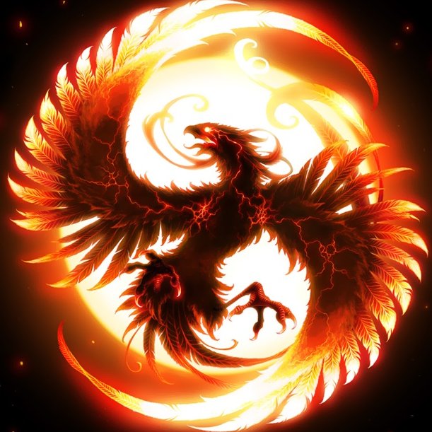 SanadaZhao's profile picture. I am Alec Chan I Hat Jake Paul and Donald Trump