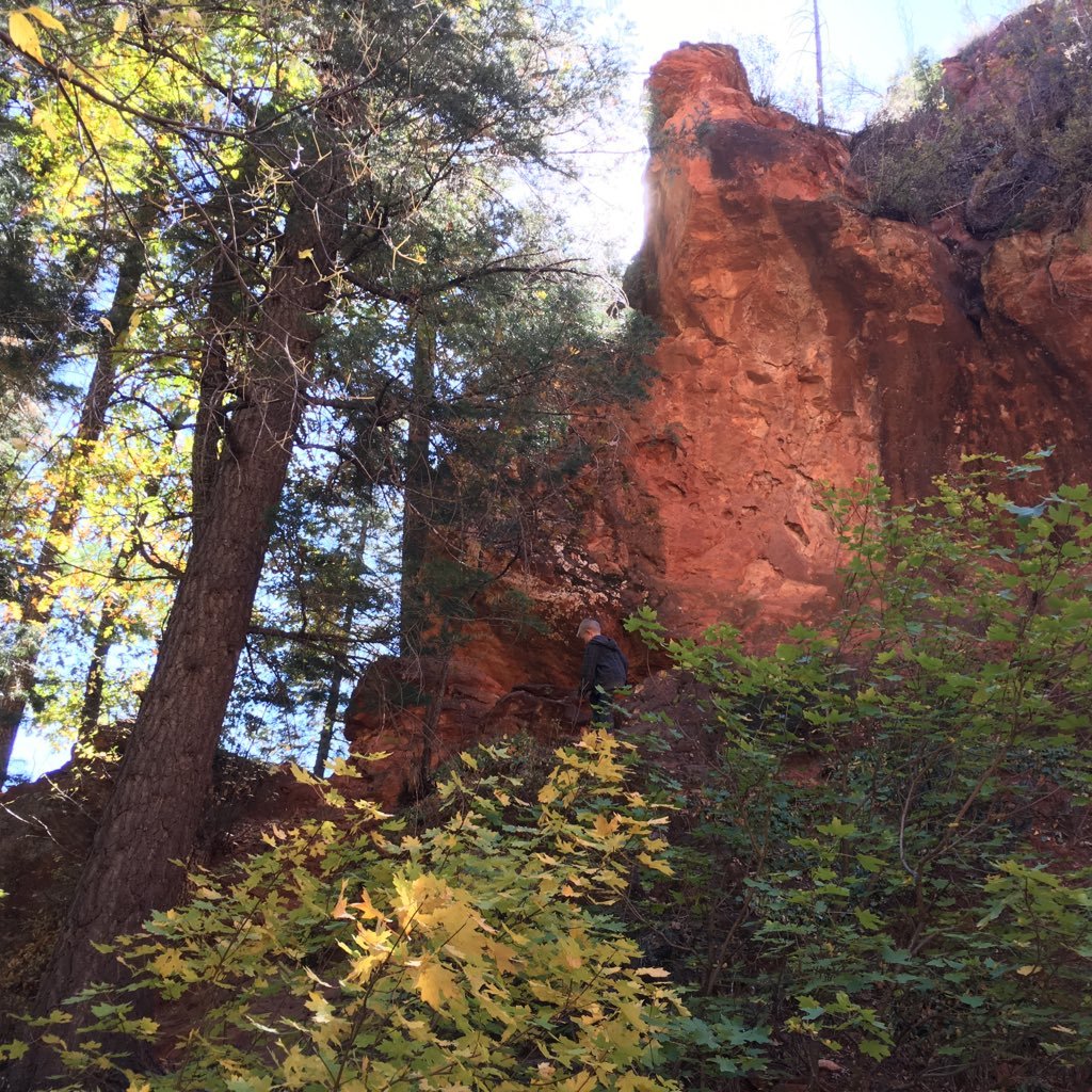 ZooeySpicer's profile picture. 