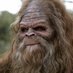 F3 Sasquatch (@f3sasquatch) Twitter profile photo F3 Sasquatch (@f3sasquatch) Twitter profile photo