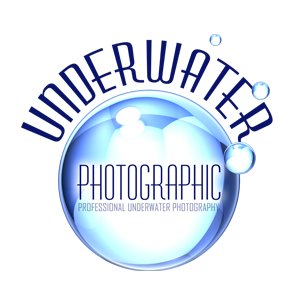 Professional Underwater Photographers based in Carlisle
https://t.co/49TsCHV6u7