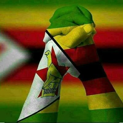 NontokozoHlong6's profile picture. lives in Gwanda,enterprenuer