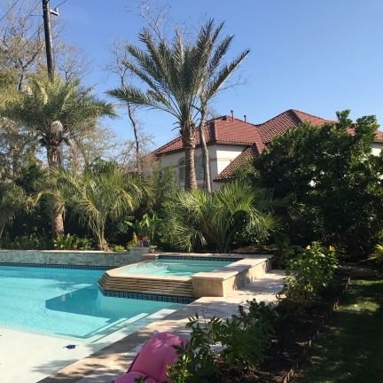 🌴Large Trees, Palm experts, lowest prices on Medjools delivered or planted. 20 acre farm in Houston, TX. Retail / wholesale. Full landscaping 281-345-6789