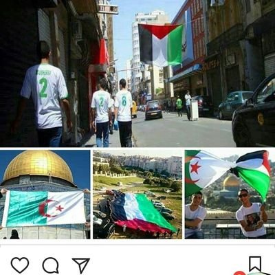 abla_mdn's profile picture. فلسطين الحبية @LaithAbuJoda  #الله_يسامحنا #حبيبي_يلا #فدائي #سطور_محترقة #100_لون #مليون_لالا #ندمان🎤🎶