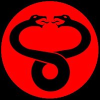 Chikunguñio (@vichegom) 's Twitter Profile