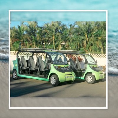 Turtletrackshi's profile picture. Experience Maui in a whole new way! Eco-friendly rides with an aloha vibe. Now serving South Kihei Road! Follow us on social media at TurtleTracksMaui 🌴