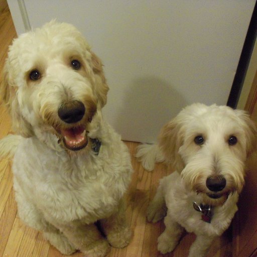 crichar38191843's profile picture. 