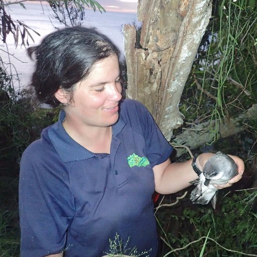 Seabird ecologist | Conservation | Island biodiversity | Petrels & shearwaters |