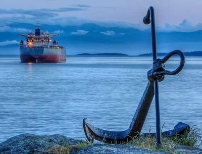 CaptainRezk's profile picture. 