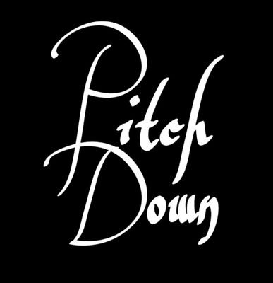 PitchDownBand's profile picture. Music. Jam. Bonding.