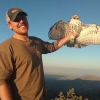 Jesse Watson (@jlwatson00) 's Twitter Profile