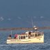 Gaspé sur mer inc (@gaspesurmer) Twitter profile photo Gaspé sur mer inc (@gaspesurmer) Twitter profile photo